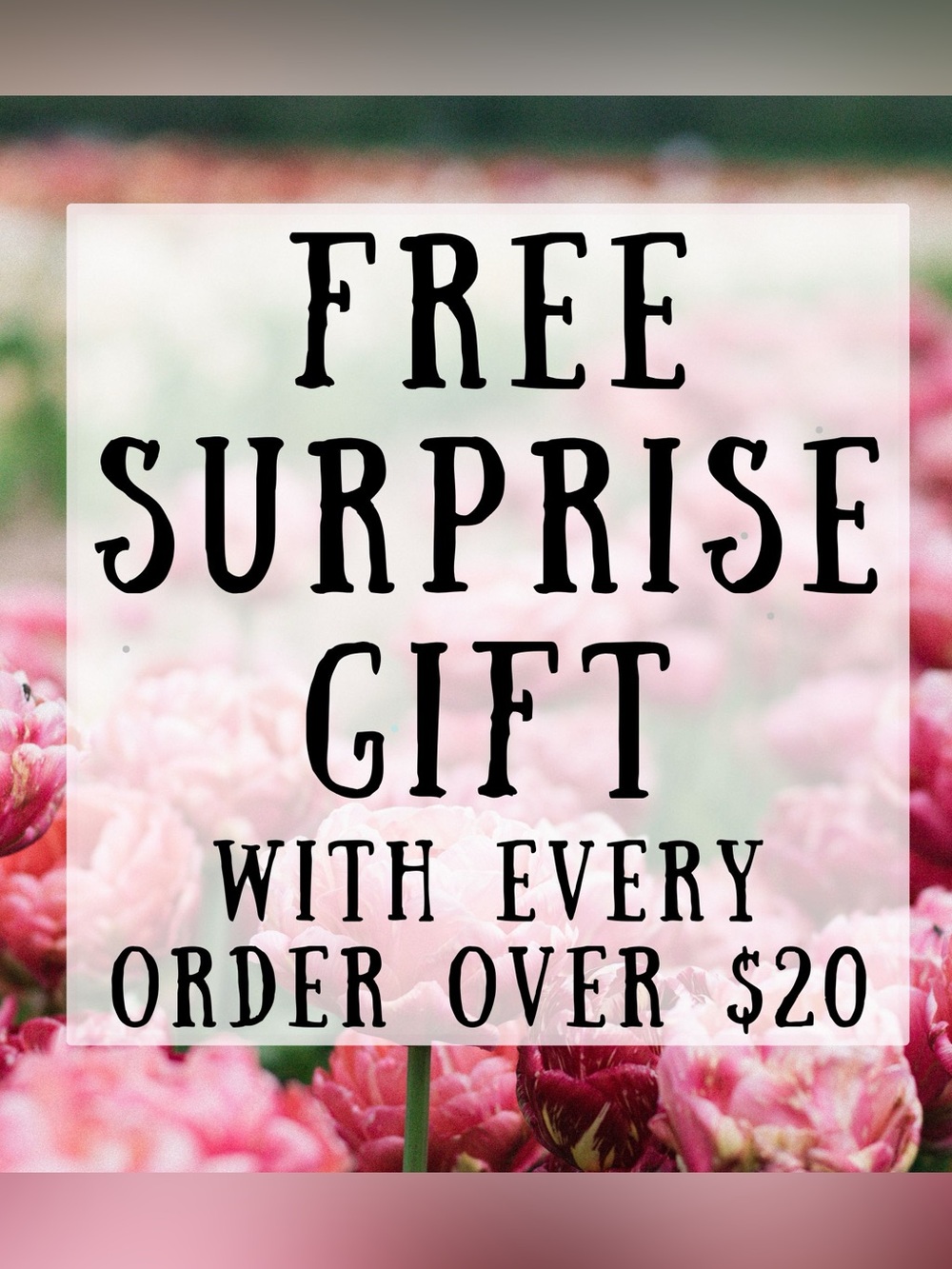 FREE SURPRISE GIFT WITH EVERY PURCHASE OVER $20